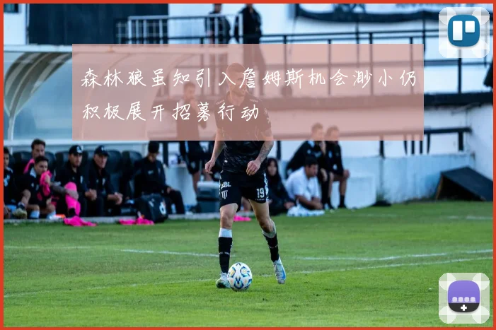 森林狼虽知引入詹姆斯机会渺小仍积极展开招募行动
